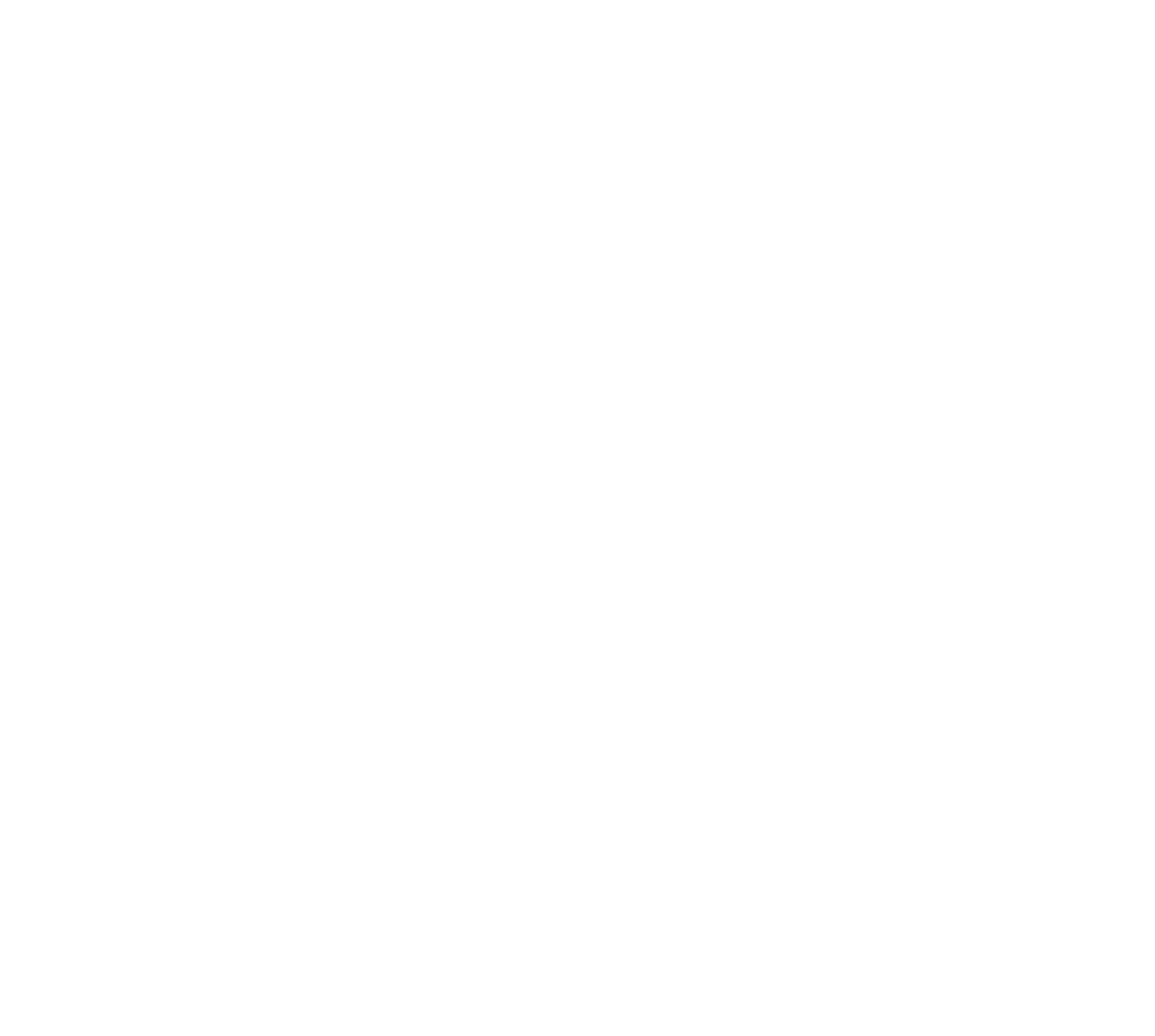 Detection icon